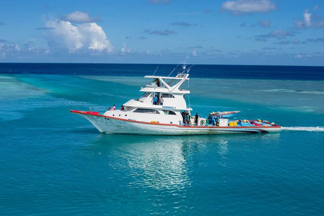 Ibrahim 'Ibbe' Nasir